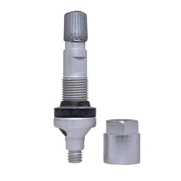 Dill TPMS Clamp In Valve - Storage